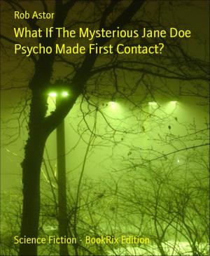 Cover of the book What If The Mysterious Jane Doe Psycho Made First Contact? by CD Sanders