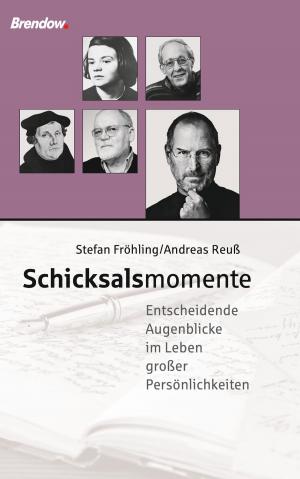Cover of the book Schicksalsmomente by Anja Lerz