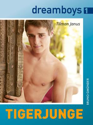 Cover of the book dreamboys 1: Tigerjunge by Tilman Janus