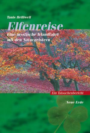 Cover of the book Elfenreise by Stefan Brönnle