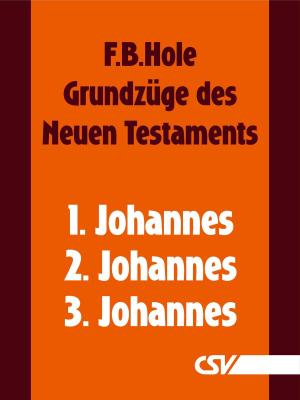 Cover of the book Grundzüge des Neuen Testaments - 1., 2. & 3. Johannes by F. B. Hole