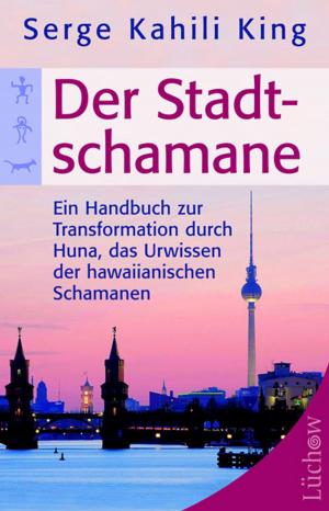 Book cover of Der Stadt-Schamane