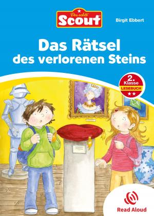 Book cover of Das Rätsel des verlorenen Steins