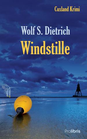 Cover of the book Windstille by Roland Lange