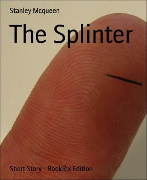 Cover of the book The Splinter by Rittik Chandra