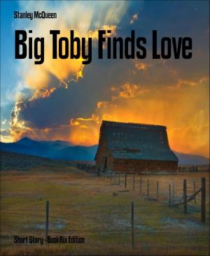 Cover of the book Big Toby Finds Love by Stanley Mcqueen