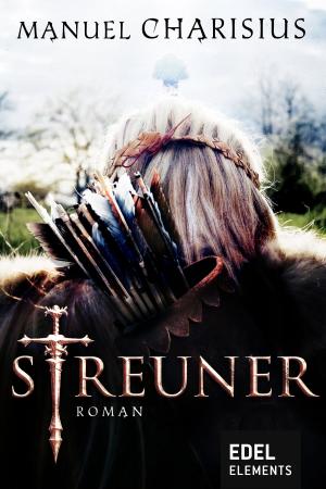 Cover of the book Streuner by Gisbert Haefs