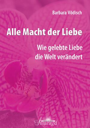 Cover of the book Alle Macht der Liebe by Daniel Bryan Jones