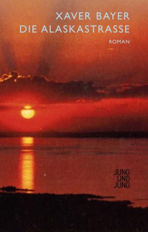 Cover of the book Die Alaskastraße by Natascha Wodin