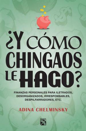 Cover of the book ¿Y cómo chingaos le hago? by Eduardo Mendicutti