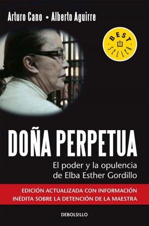 Cover of the book Doña Perpetua by Vicente Leñero