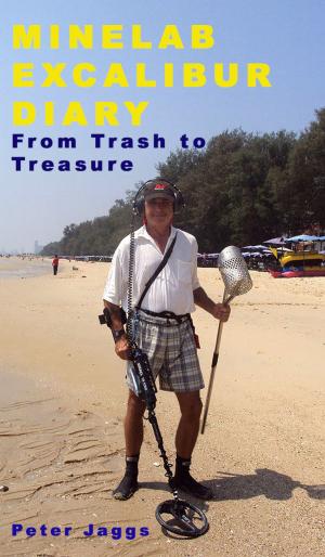 bigCover of the book Minelab Excalibur Diary by 