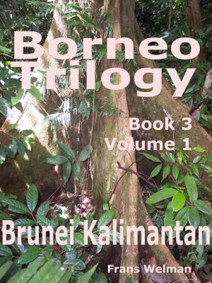 Cover of the book Borneo Trilogy Brunei: Vol 1 by Brian Kennett