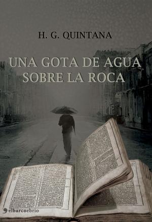 Cover of the book Una gota de agua sobre la roca by Peter de Ruyter
