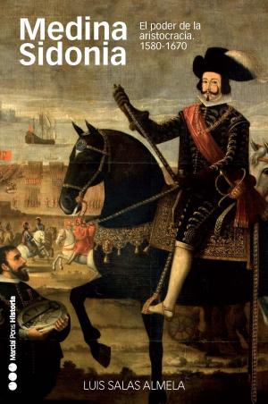 Cover of the book Medina Sidonia by Francisco García Fitz, Feliciano Novoa Portela, Miguel Ángel Ladero Quesada
