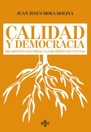 Cover of the book Calidad y democracia by José Manuel Ruiz-Rico Ruiz, Yolanda de Lucchi López-Tapia