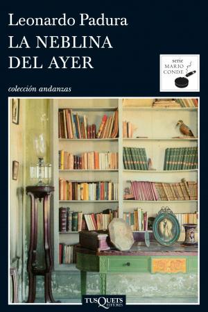 Cover of the book La neblina del ayer by Lola García