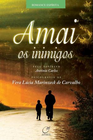 Cover of the book Amai os inimigos by Massimo Rodolfi