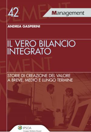 Cover of Il vero bilancio integrato