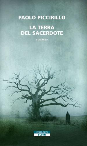 Book cover of La terra del Sacerdote