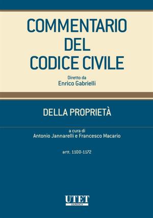 Cover of the book Della proprietà - artt. 1100-1172 by Diana Antonio Gerardo, Antonio Gerardo Diana