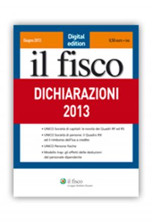 Cover of Dichiarazioni 2013