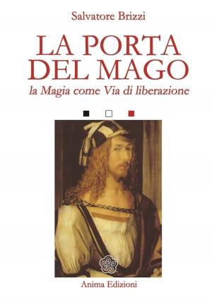 Cover of the book Porta del mago by Paul Wolanin