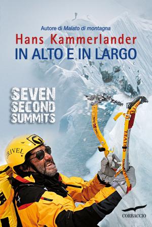 Cover of the book In alto e in largo by Kerstin Gier