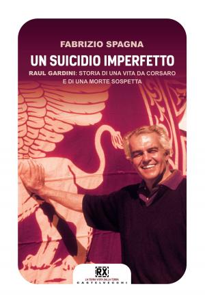 Cover of the book Un suicidio imperfetto by Steve Dustcircle