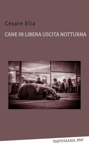 Cover of the book Cane in libera uscita notturna by Daniele Palma