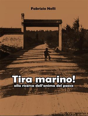Cover of the book Tira marino! alla ricerca dell'anima del paese by Laura Montgomery