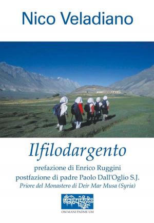 Cover of the book Ilfilodargento by David Hose, Takeko Hose