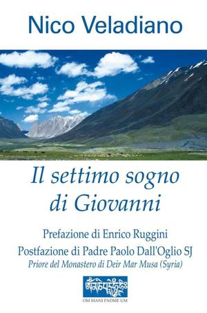 Cover of the book Il settimo sogno di giovanni by Bill Drake