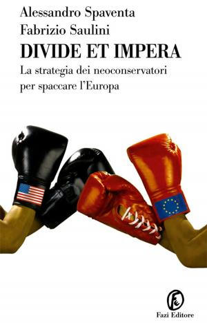 Cover of the book Divide et impera by Carmen Iarrera