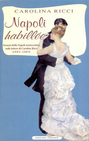 Cover of the book Napoli habillée by Canali Luca
