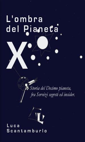 Cover of the book L'ombra del Pianeta X by Maurizio Melandri