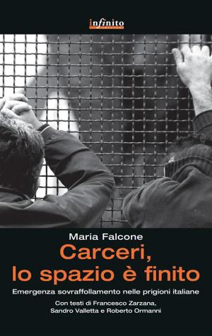 Cover of the book Carceri, lo spazio è finito by Luciano Garofano, Lorenzo Puglisi, Maurizio Costanzo