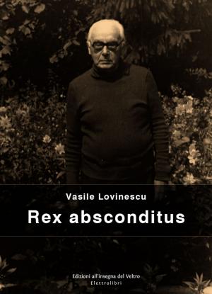 Cover of the book Rex Absconditus by T D Hill