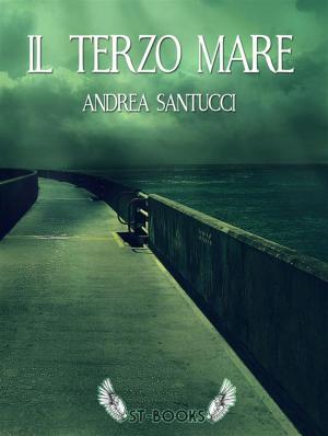 Book cover of Il terzo mare