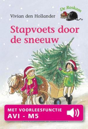 Book cover of Stapvoets door de sneeuw