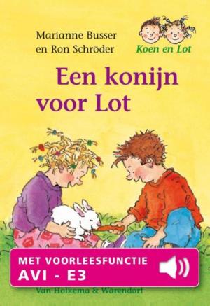 Cover of the book Een konijn voor Lot by Jennifer Lynn Barnes