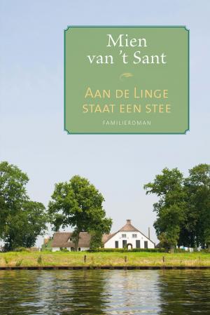 Cover of the book Aan de Linge staat een stee by Marijke van den Elsen