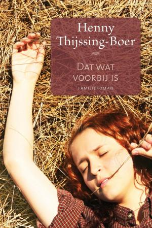 Cover of the book Dat wat voorbij is by Rozsa Gaston
