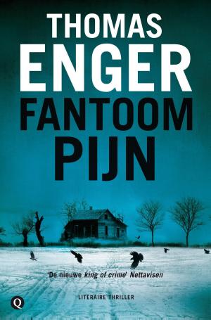 Cover of the book Fantoompijn by Fik Meijer