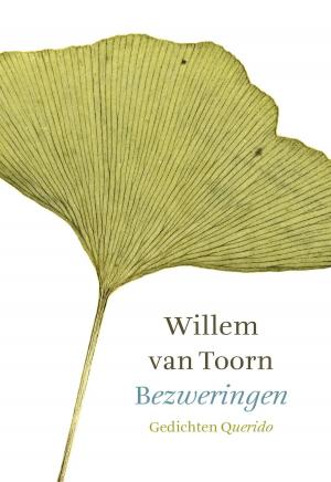 Cover of the book Bezweringen by Herman Leenders