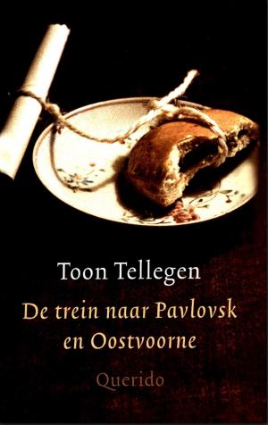 Cover of the book De trein naar Pavlovsk en Oostvoorne by Gerrit Kouwenaar
