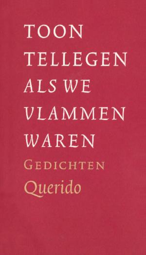 Cover of the book Als we vlammen waren by Joke J. Hermsen