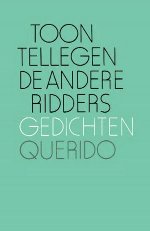 Cover of the book De andere ridders by Sylvia Witteman