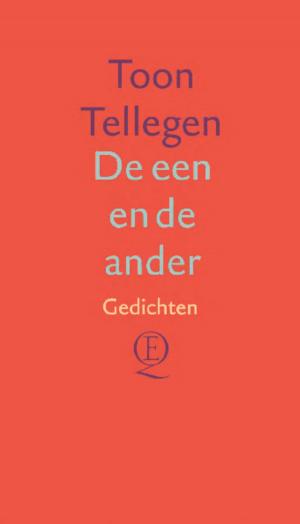 Cover of the book De een en de ander by Toon Tellegen