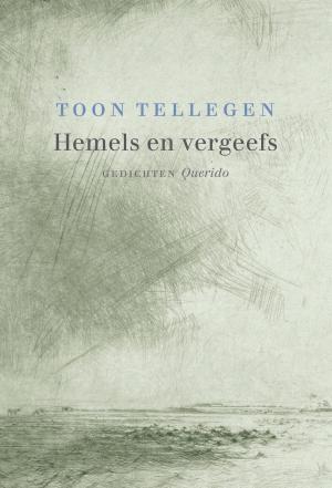 Cover of the book Hemels en vergeefs by Håkan Nesser
